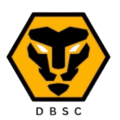 Dwivedi Brothers 队徽